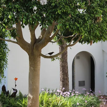 Apartamento Lunamar El Mejor En La Mejor Playa Marbella